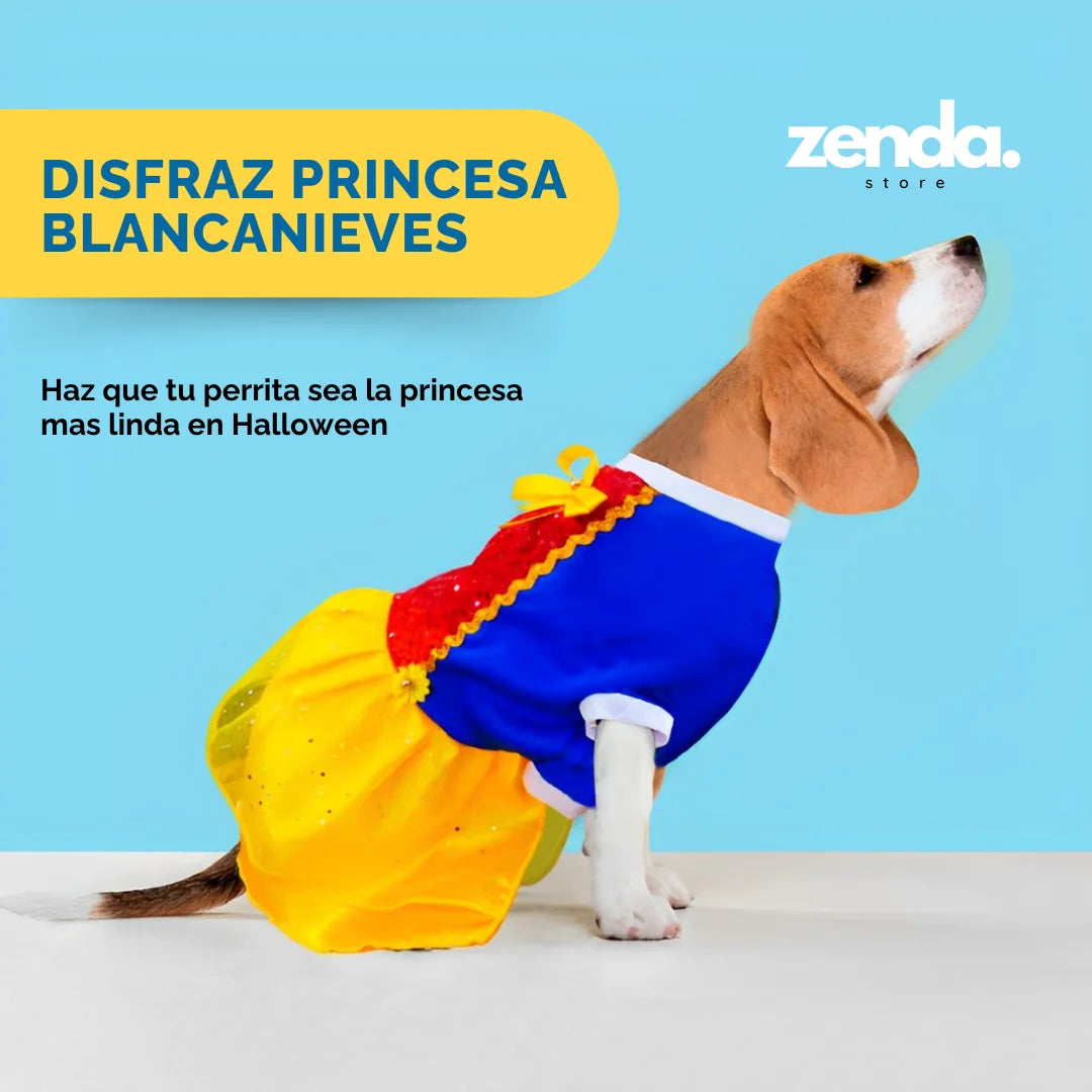 Disfraz Princesa Blancanieves